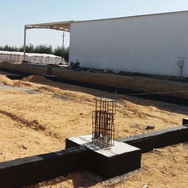 WhatsApp Image 2026 03 07 at 08 42 19 1 600x600