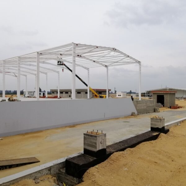 WhatsApp Image 2026 03 07 at 08 42 19 2 600x600