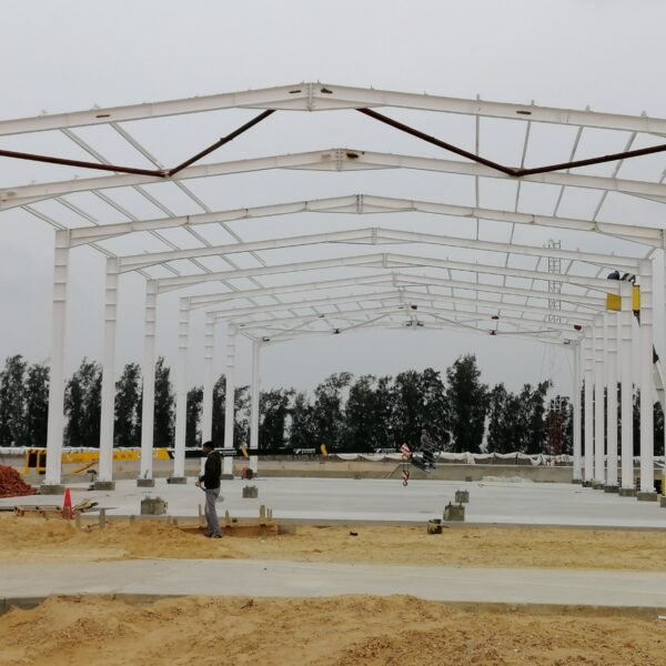 WhatsApp Image 2026 03 07 at 08 42 19 3 600x600