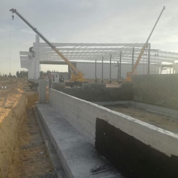 WhatsApp Image 2026 03 07 at 08 42 20 1 600x600