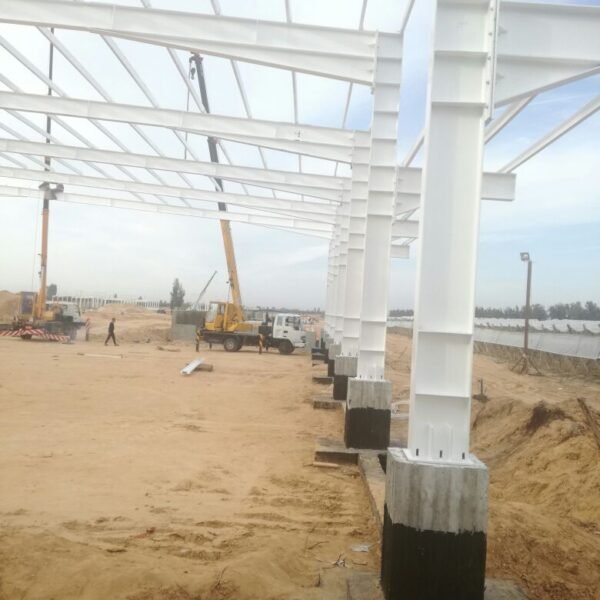 WhatsApp Image 2026 03 07 at 08 42 20 2 600x600