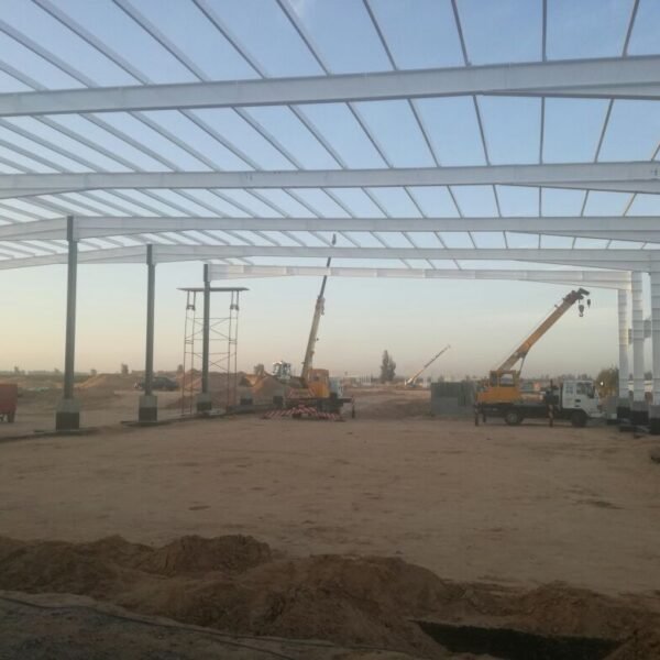 WhatsApp Image 2026 03 07 at 08 42 20 3 600x600