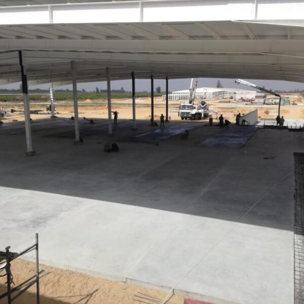 WhatsApp Image 2026 03 07 at 08 42 20 5 600x600