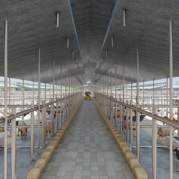 WhatsApp Image 2026 03 07 at 08 43 18 1 600x600