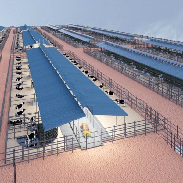 WhatsApp Image 2026 03 07 at 08 43 18 3 600x600