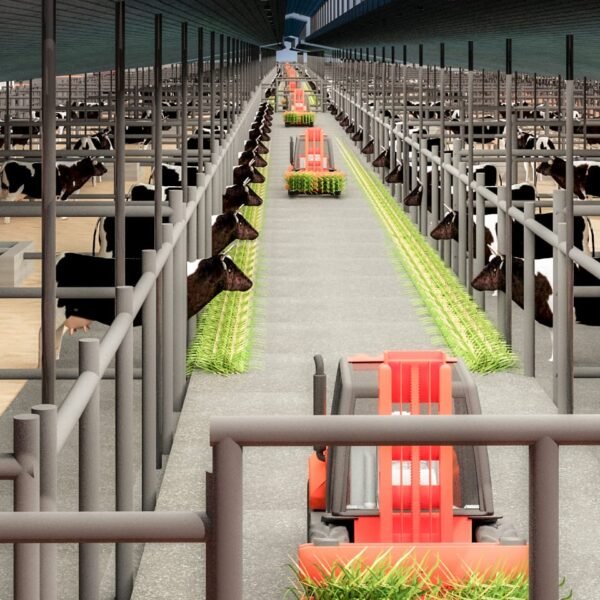 WhatsApp Image 2026 03 07 at 08 43 19 600x600